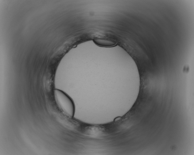 X0000112500223200909281205