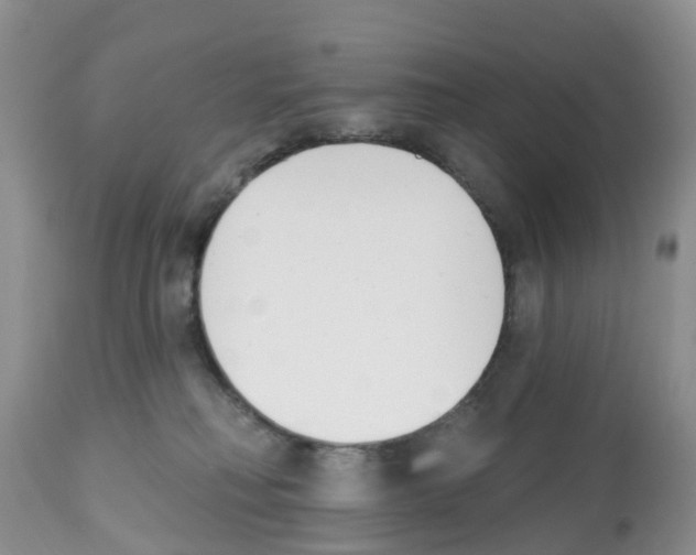 X0000112500230200909281205