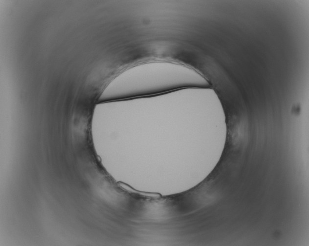 X0000112500235200909281205