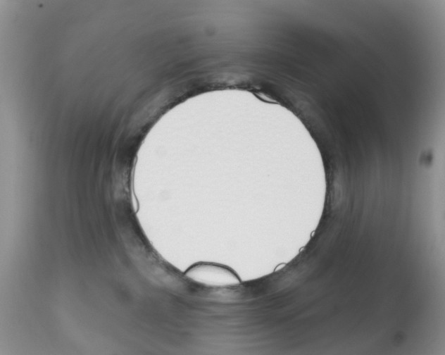 X0000112500236200909281205