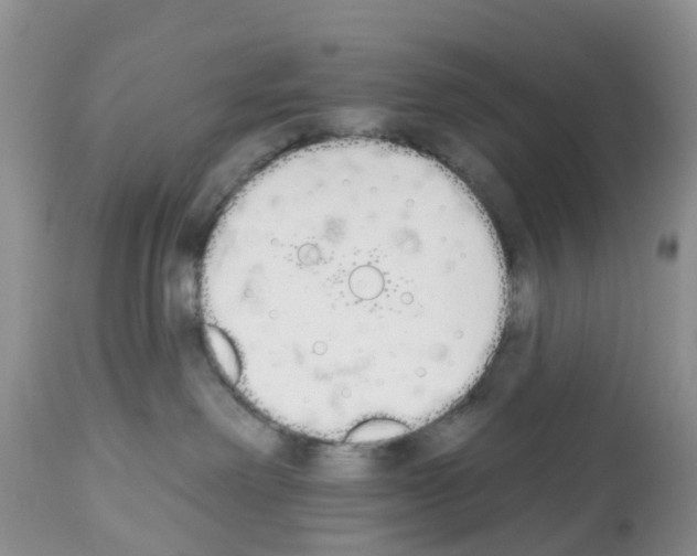 X0000112500238200909281205