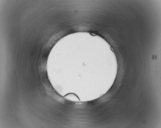 X0000112500240200909281205