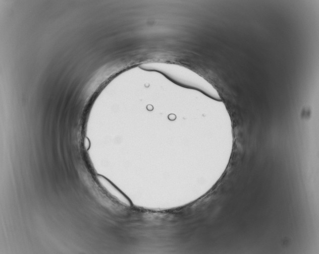 X0000112500242200909281204