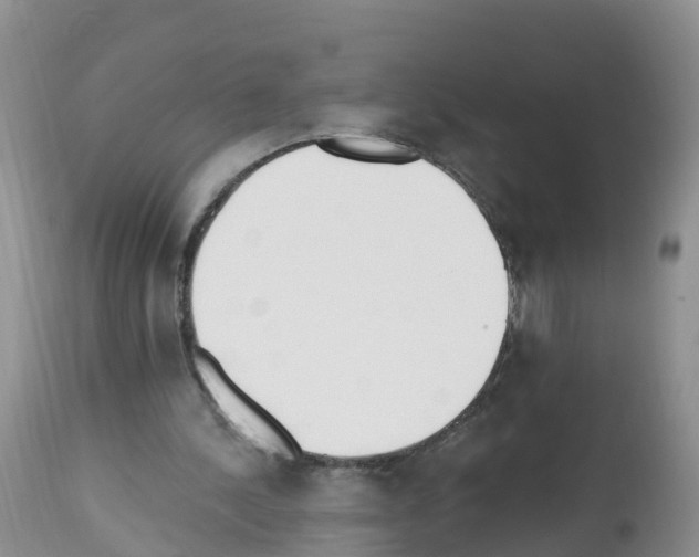 X0000112500244200909281204