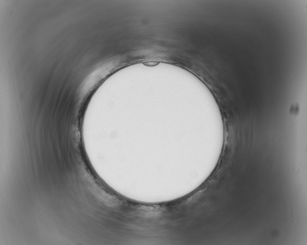 X0000112500245200909281204