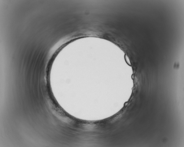 X0000112500246200909281204