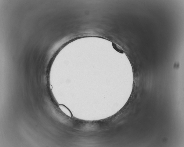 X0000112500248200909281204