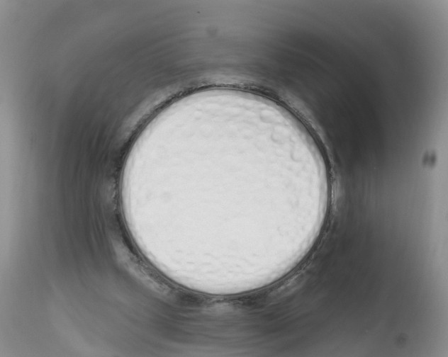 X0000112500249200909281204