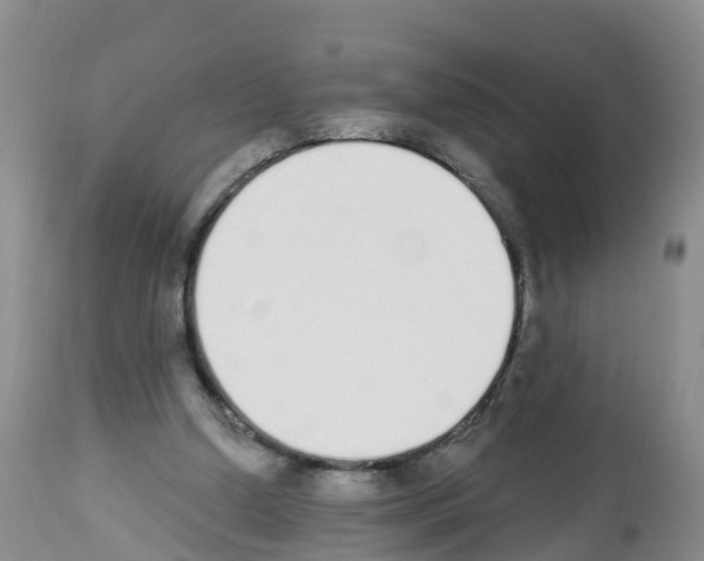 X0000112500250200909281204