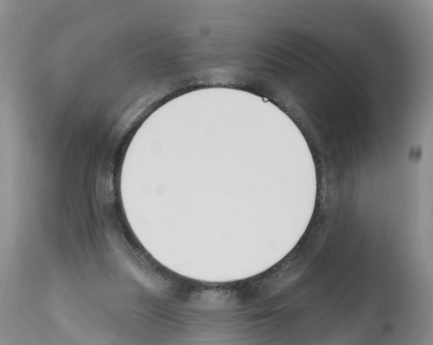 X0000112500251200909281204