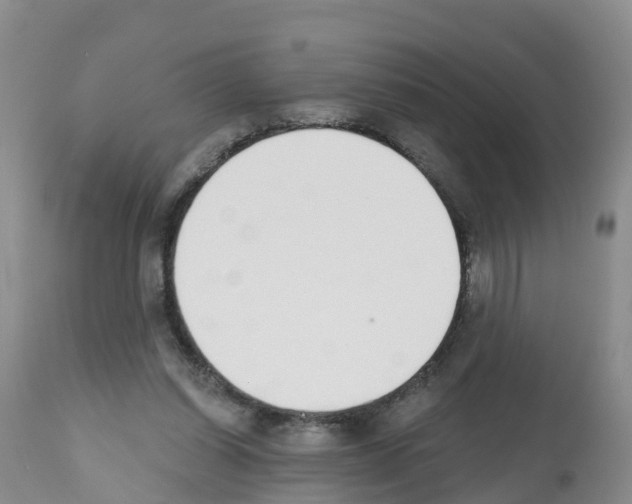 X0000112500254200909281204