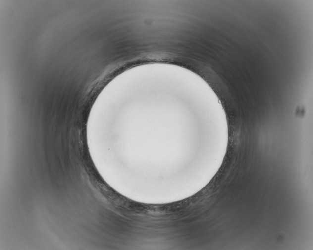 X0000112500256200909281204