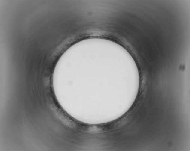 X0000112500257200909281204