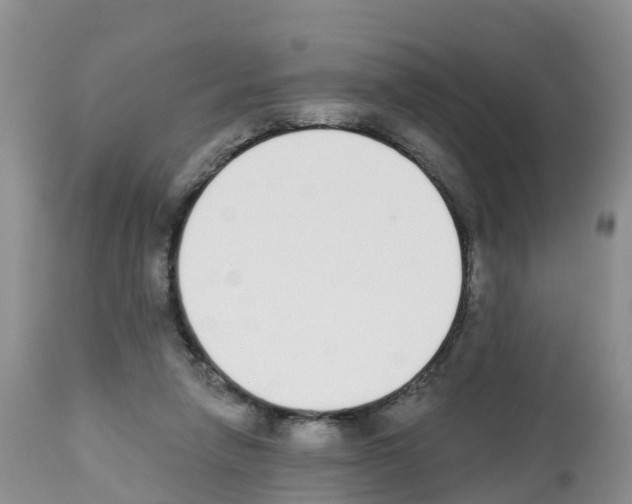 X0000112500258200909281204