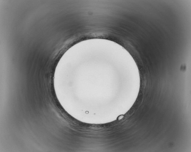 X0000112500260200909281204