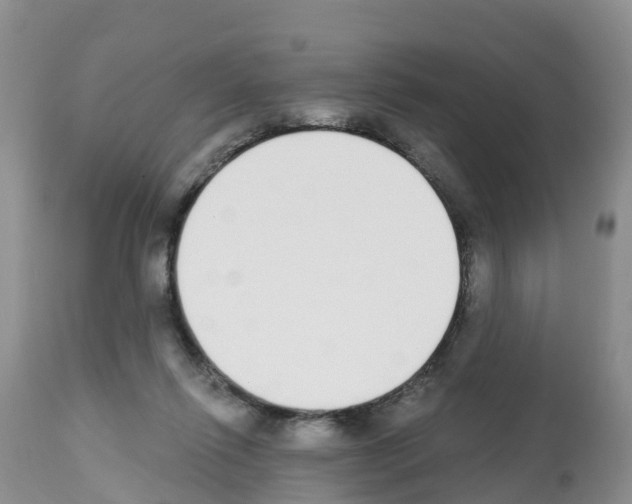 X0000112500262200909281204