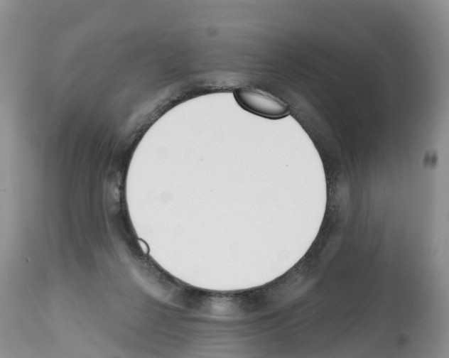 X0000112500264200909281204