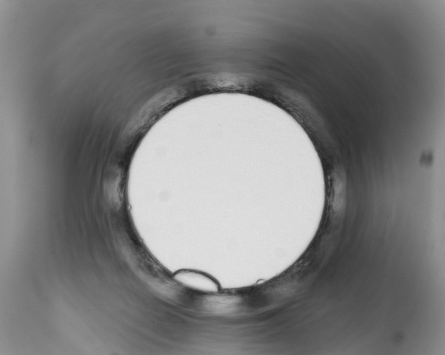 X0000112500266200909281204