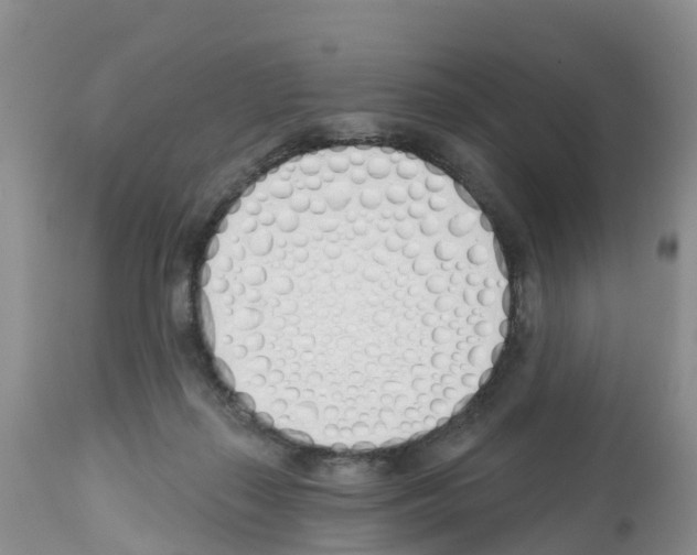 X0000112500267200909281205