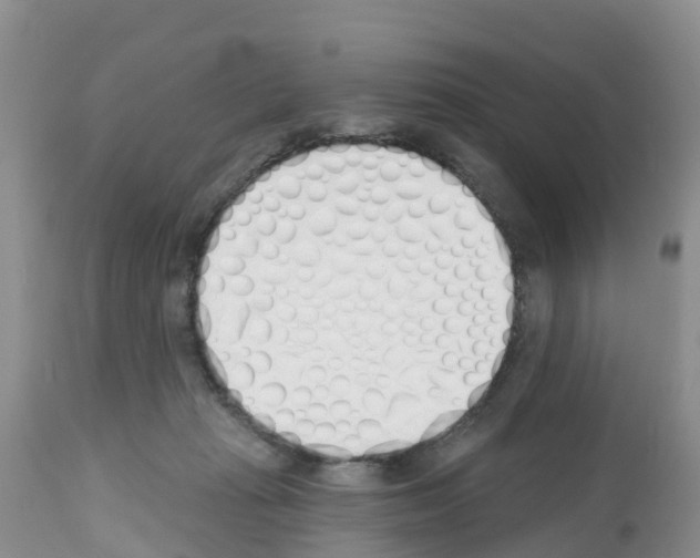 X0000112500269200909281205