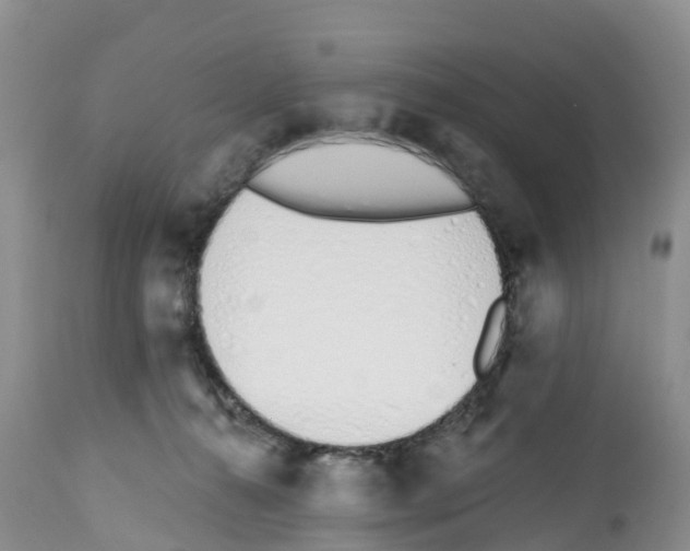 X0000112500272200909281205