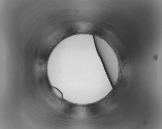 X0000112500276200909281205