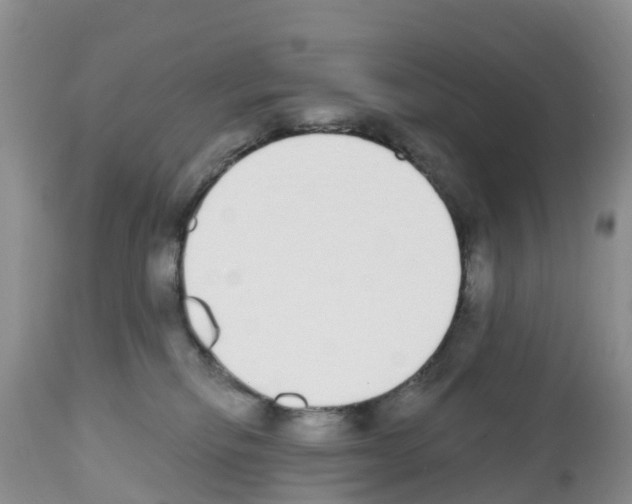 X0000112500278200909281205