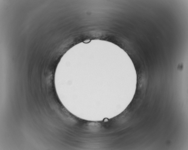 X0000112500279200909281205