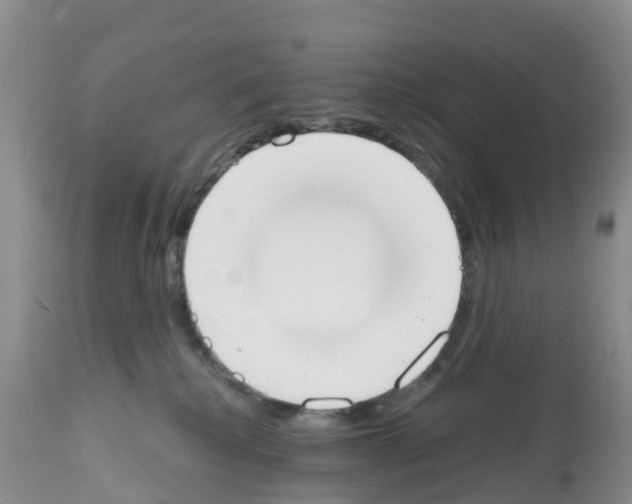 X0000112500280200909281205