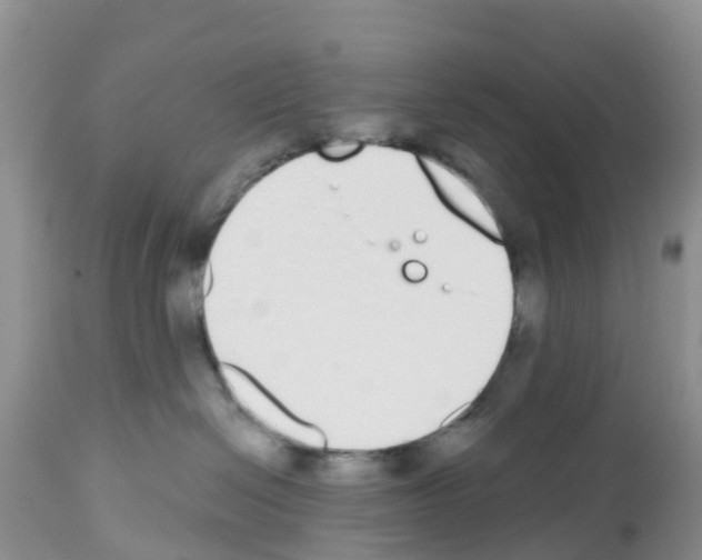 X0000112500286200909281205