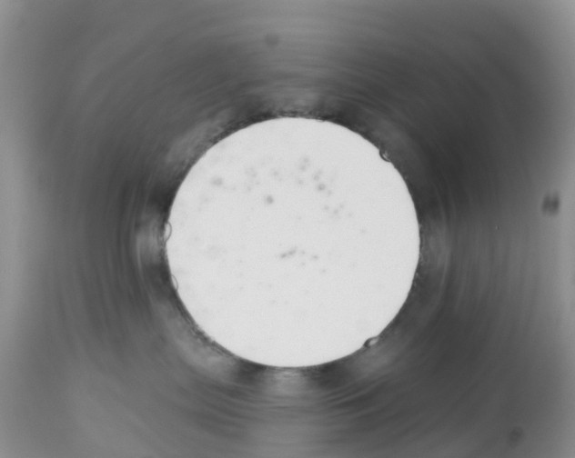 X0000112500287200909281205