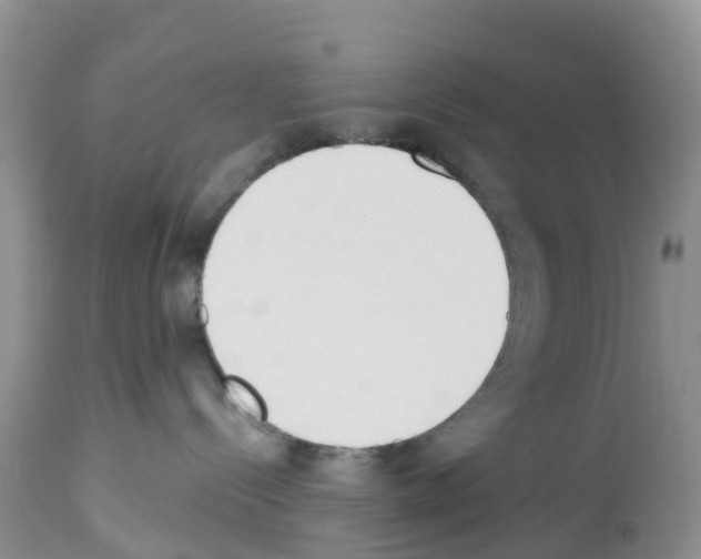 X0000112500288200909281205