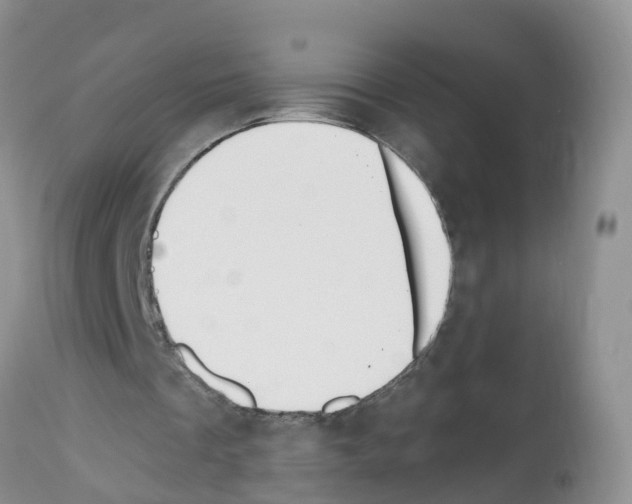 X0000112500289200909281204