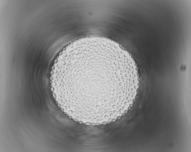 X0000112500290200909281204