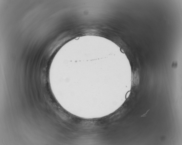 X0000112500291200909281204