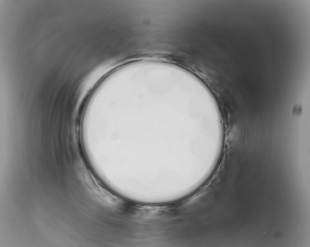 X0000112500294200909281204