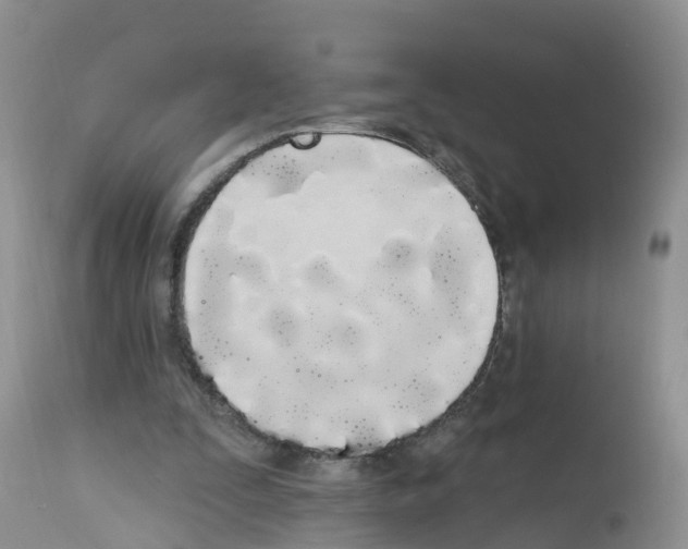 X0000112500295200909281204