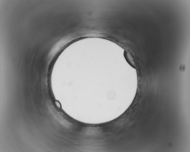 X0000112500296200909281204