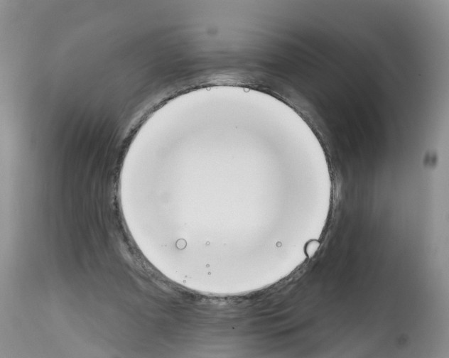 X0000112500297200909281204