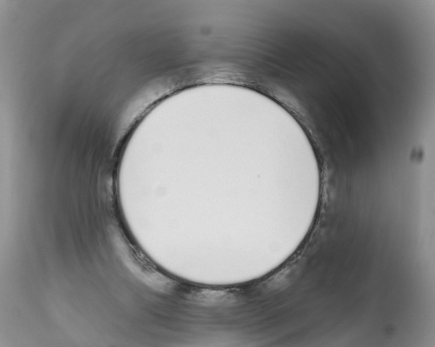 X0000112500298200909281204