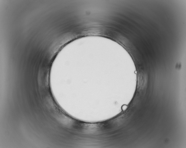 X0000112500301200909281204