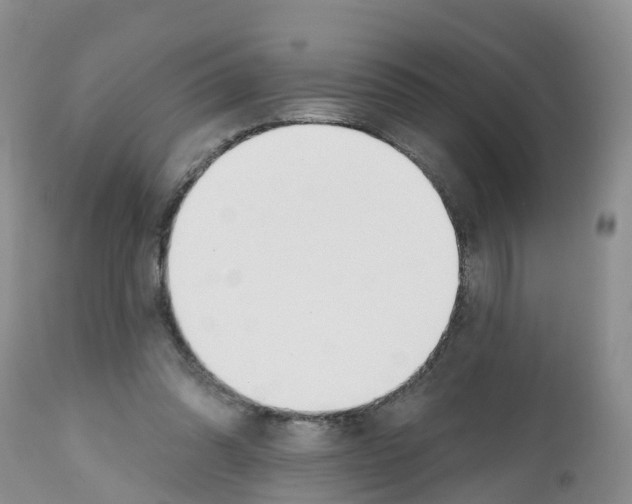 X0000112500302200909281204