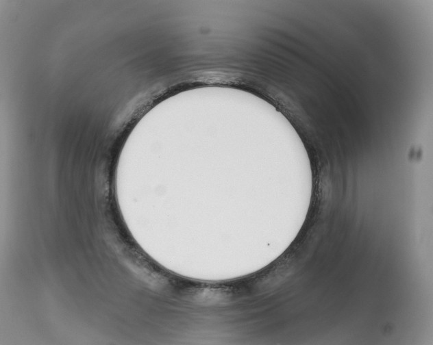 X0000112500303200909281204