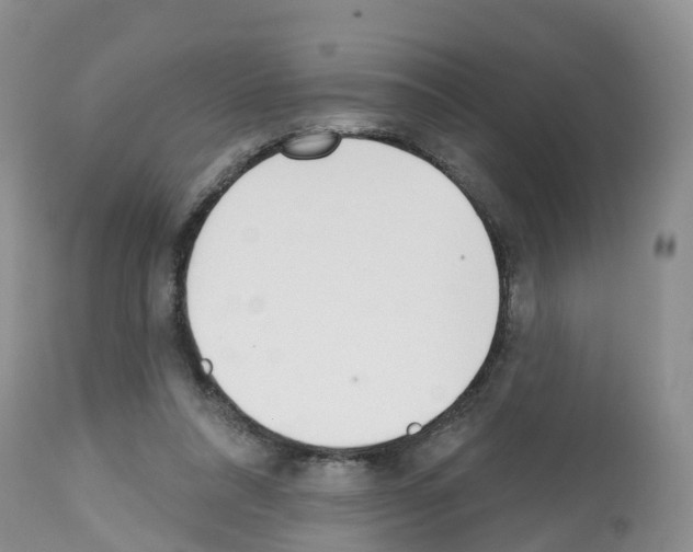 X0000112500304200909281204