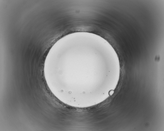 X0000112500305200909281204