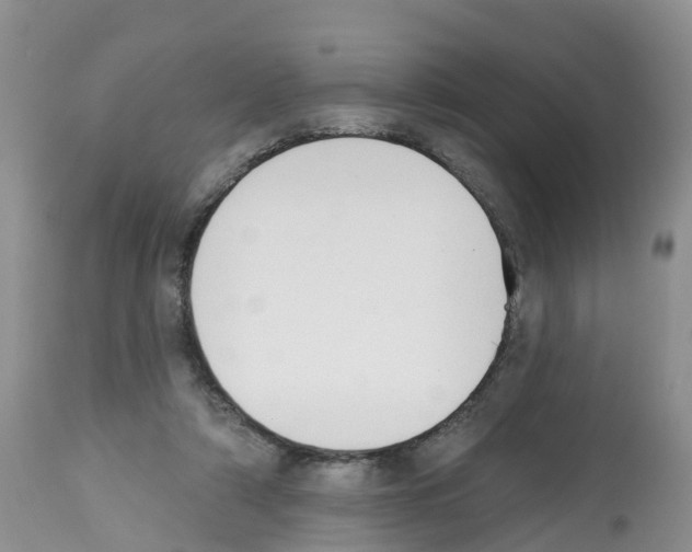 X0000112500306200909281204