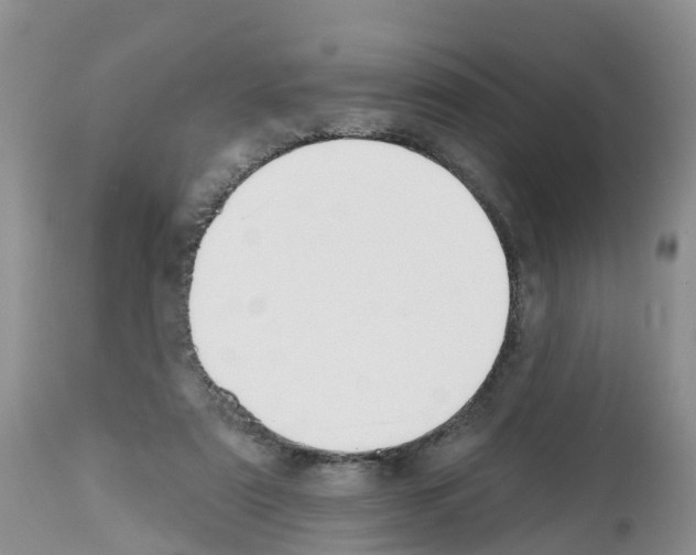 X0000112500307200909281204