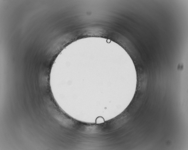 X0000112500309200909281204