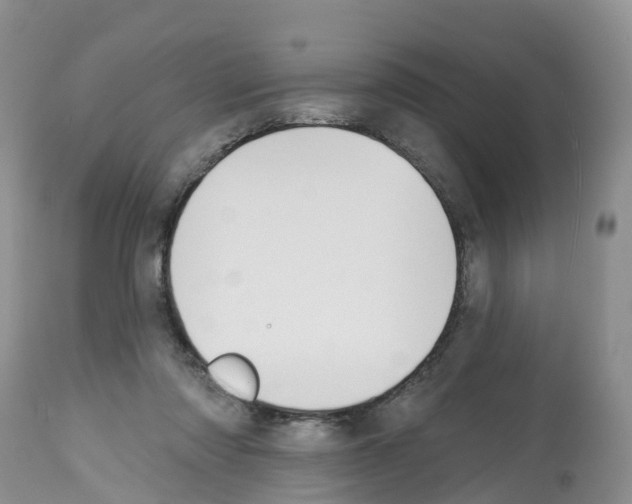 X0000112500310200909281204