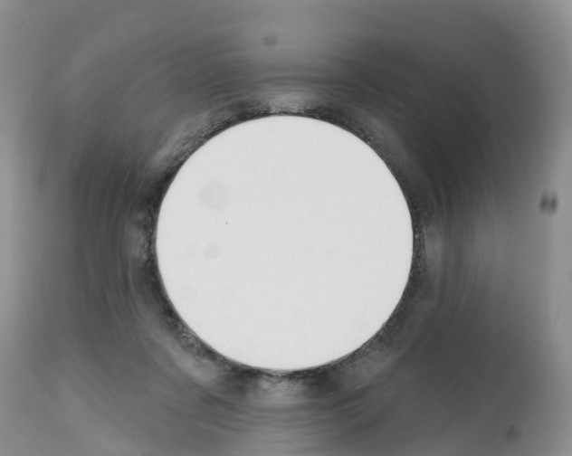 X0000112500311200909281204